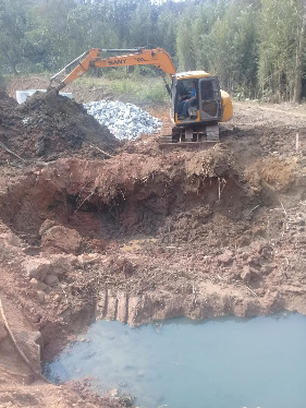 WhatsApp Image 2024-01-31 at 11.10.52(1).jpeg